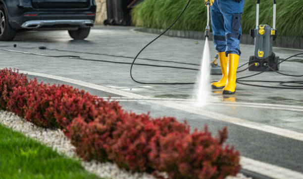 Boat and Dock Cleaning in Countryside, VA